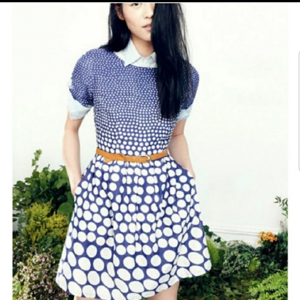 Broadway & Broome Dotted Songbird Dress size 0